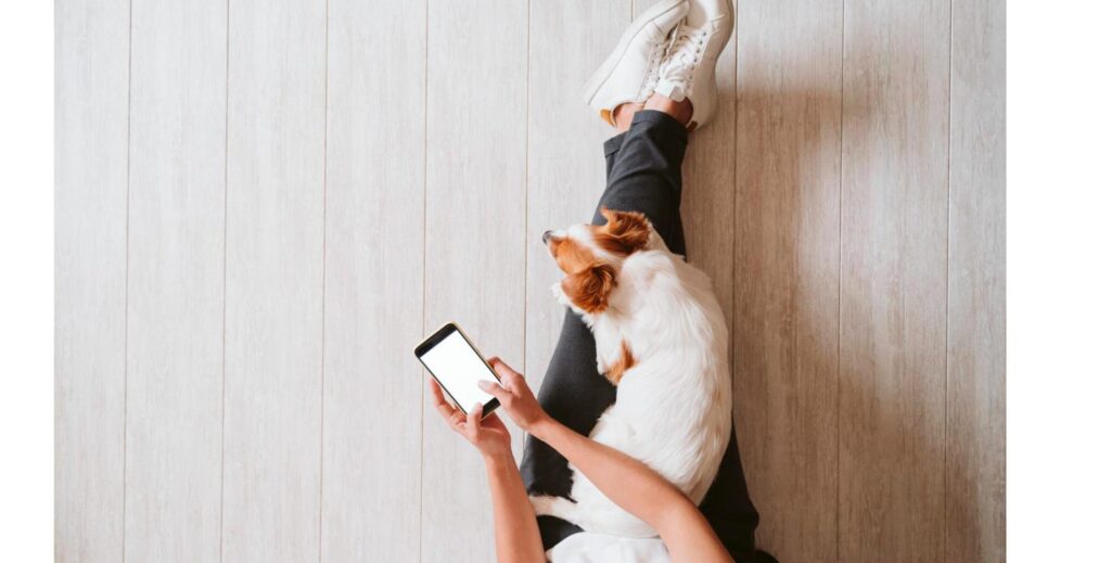 スマートフォンで相談先を調べながら犬に寄り添われる様子、費用面で不安なときの相談先をイメージ