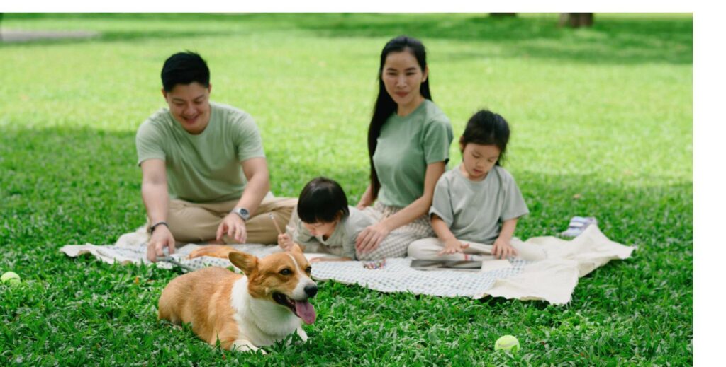 芝生でコーギーと過ごす笑顔の家族、保護犬を迎える費用・制度ガイドのまとめをイメージ