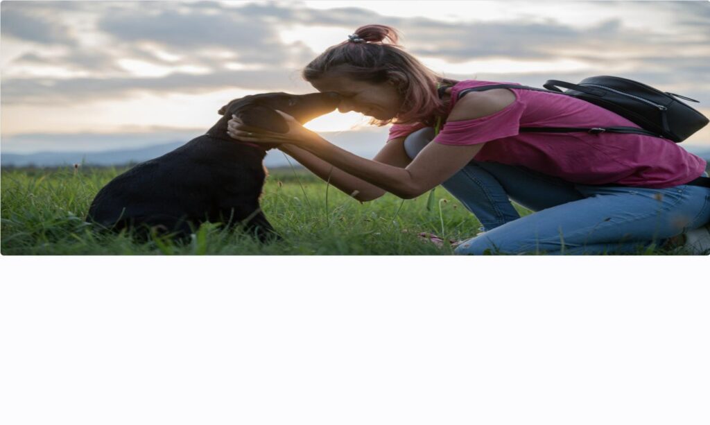夕暮れの草地で腰を落とし、黒い犬と目線の高さを合わせて待つ人