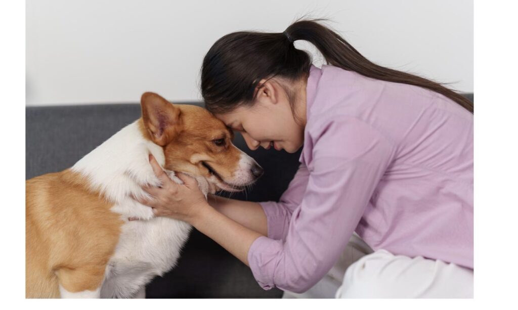 額を合わせて犬と絆を深める女性、慣らし期間を経て築かれた信頼関係をイメージ